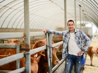 droit agricole et viticole à Matha près de Saint-Jean-d'Angély en Charente-Maritime 17